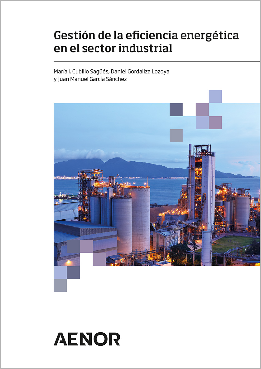 Gestión de la eficiencia energética en el sector industrial