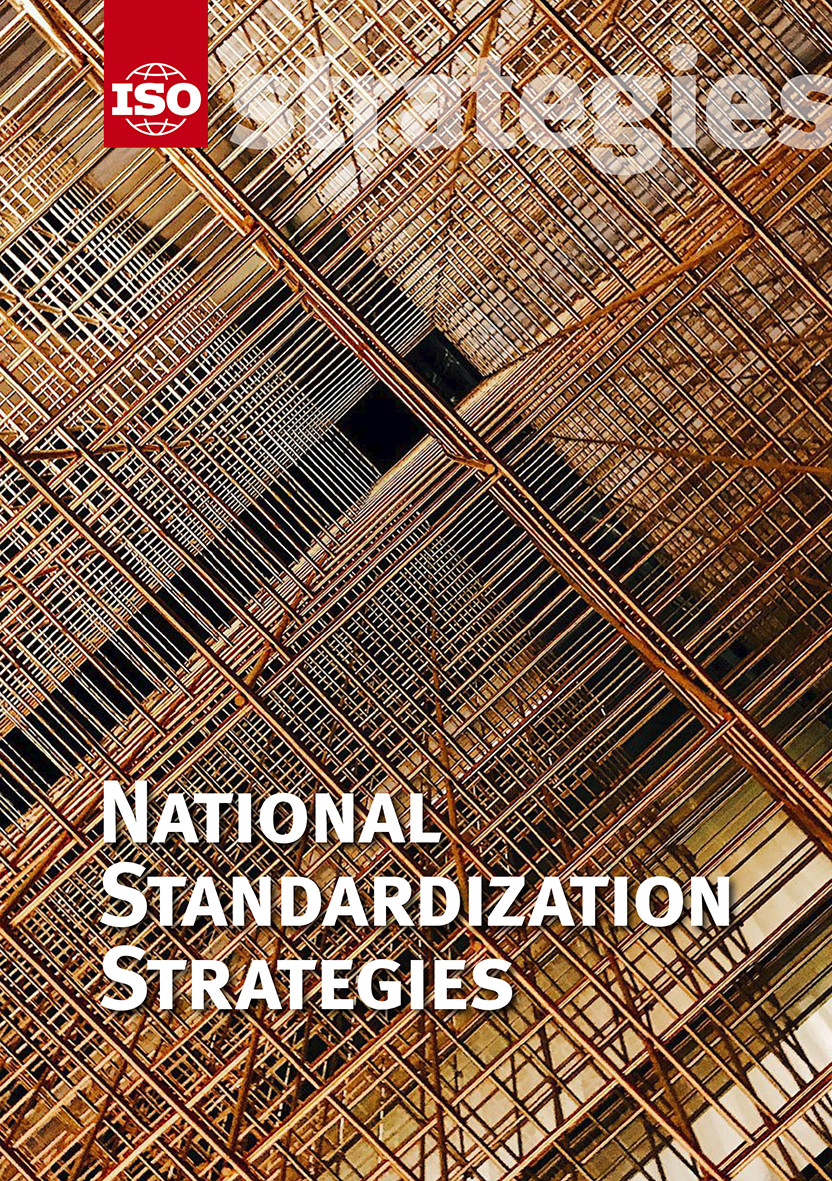 National standardization strategies